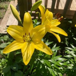 Meet your Posher, Johnetta